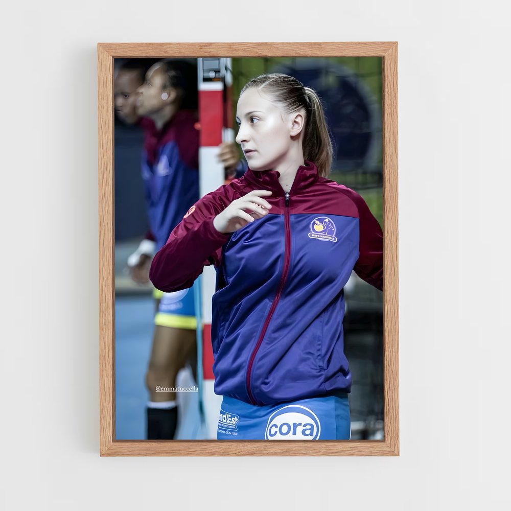 Poster La Ferveur du Handball (vue 4)